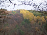 Jeseň v lesoch na okrajoch údolia.