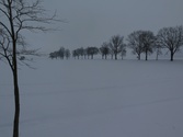 Umělecké foto zimní krajiny