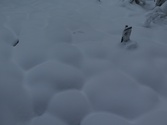 Rařeliniště pod sněhem