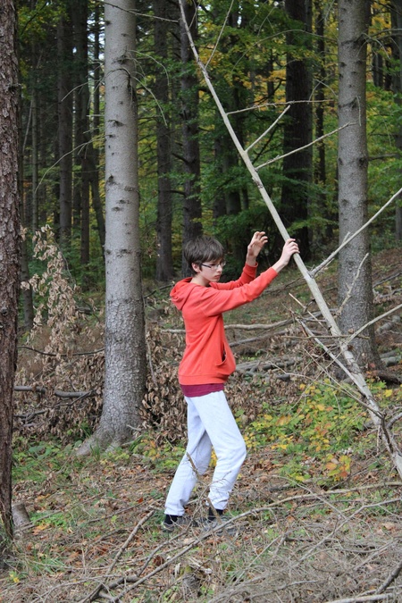 Odneseme všechno dřevo.