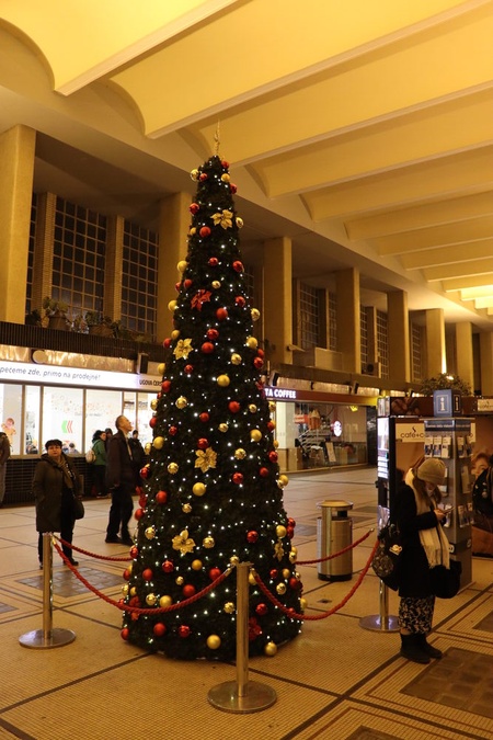 Vánoční stromek na nádraží v Pardubicích