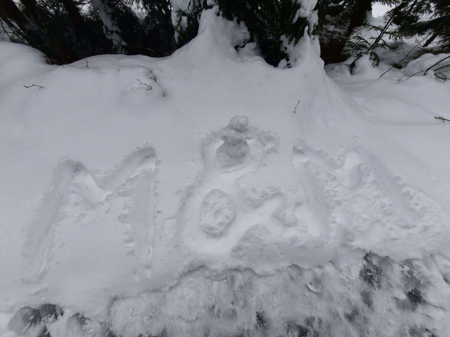 ❄️❄️❄️🦊❄️☃️❄️❄️❄️